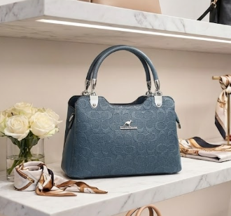 Ladies Hand Bag - 2024-1