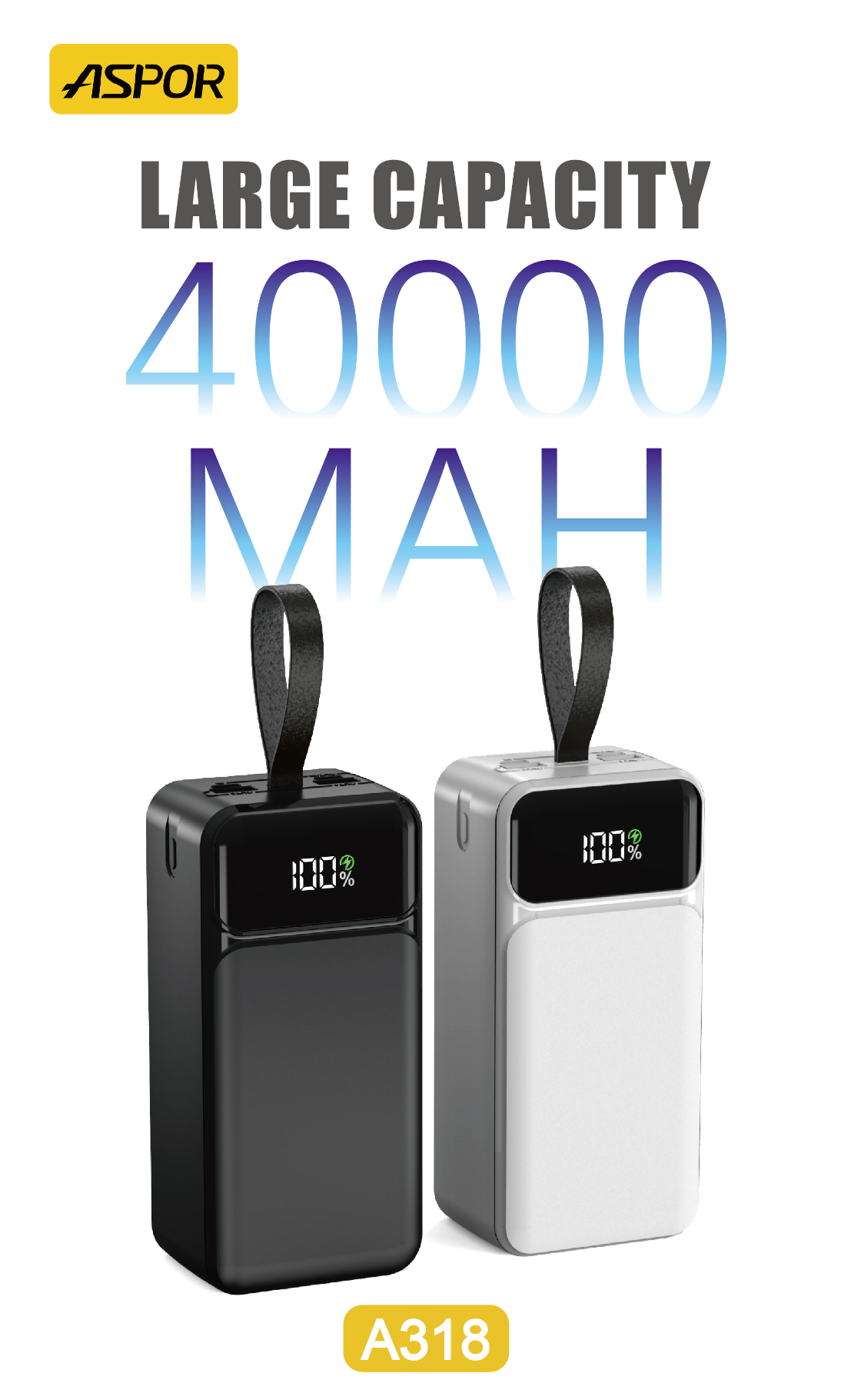 Aspor A318 40000 Power Bank - 3 In 1